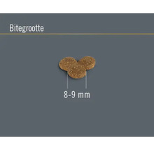 FINEVO Kattenvoer droog Senior kip 0,4 kg-thumb-2