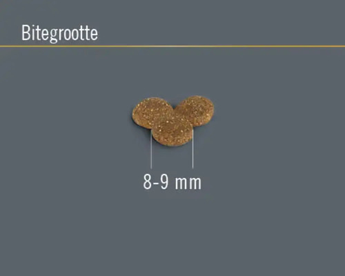 Hondenvoer brokjes grootte 8 tot 9 millimeter