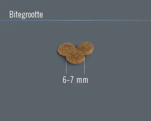 Hondenvoerbrokjes met een grootte van 6 tot 7 millimeter.
