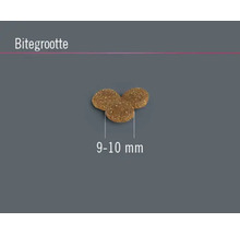 FINEVO Hondenvoer droog Junior Dog kip 3 kg-thumb-2