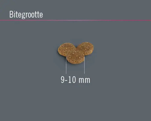 Hondenvoer brokken, grootte 9 tot 10 millimeter
