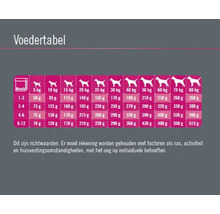 FINEVO Hondenvoer droog Junior Dog kip 3 kg-thumb-3