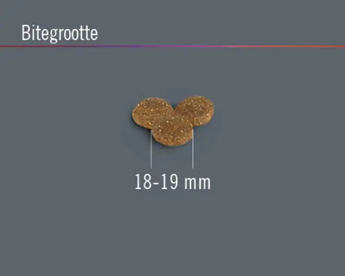 Drie stukken hondenvoer met een grootte van 18 tot 19 millimeter.