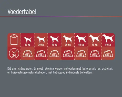 Voedingstabel voor honden met gewicht indicaties en hoeveelheid voer