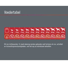 FINEVO Hondenvoer droog Sensitive Dog zalm graanvrij 3 kg-thumb-3