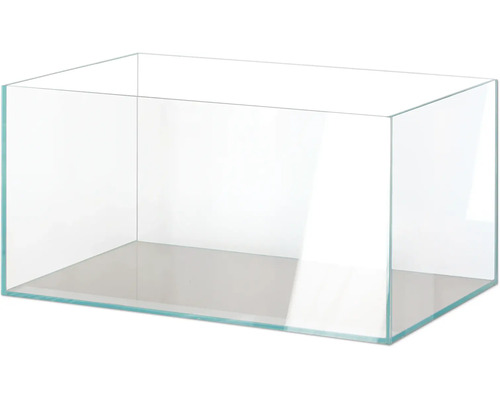 Leeg glazen aquarium voor vissen en planten