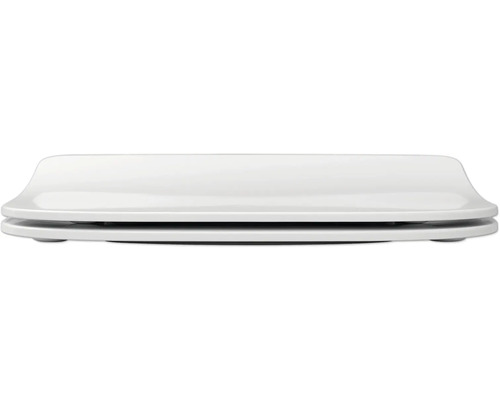 Toiletdeksel van sanitair keramiek