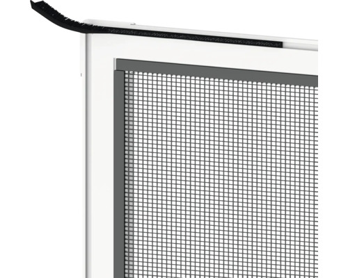 Gedetailleerde weergave van een insectenhor met borstelafdichting