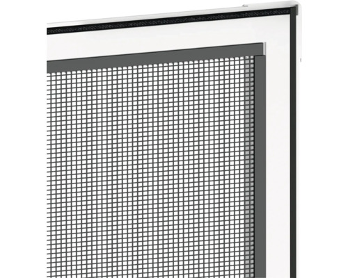 Detailweergave van een insectenhor met frame