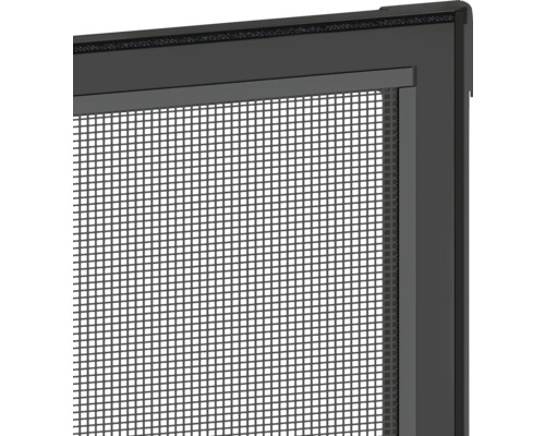 Close-up van een hor voor ramen