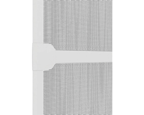 Close-up van een insectenhor met frame