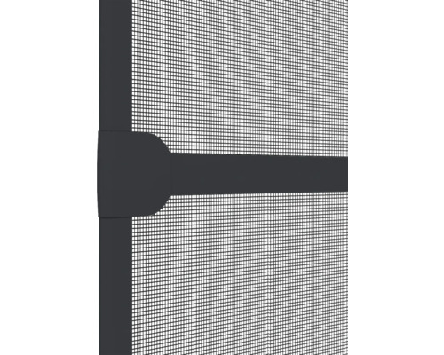 Detailweergave van een insectenhor met frame