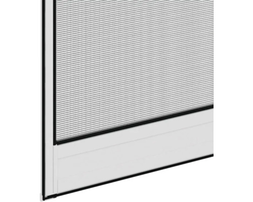 Gedetailleerde weergave van een insectenhor