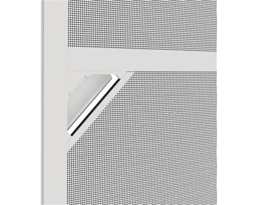 Detailopname van een insectenhor met draaisluiting