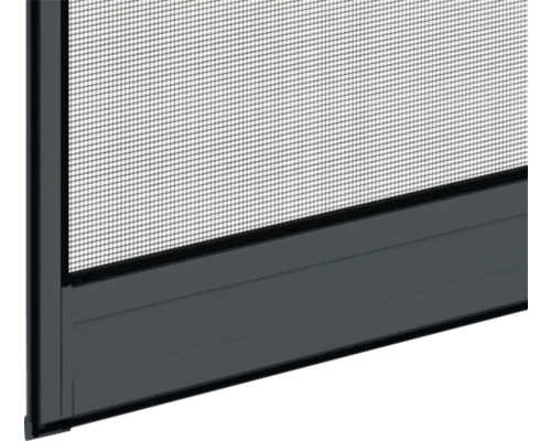 Detailaanzicht van een insectenhor.