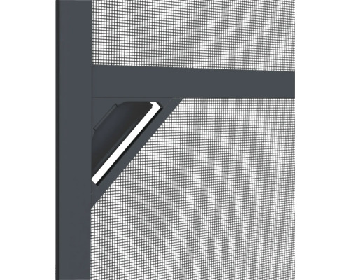 Detail van een insectenhor met frame