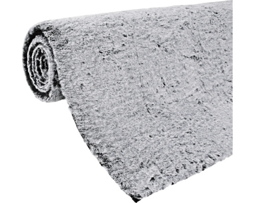 Opgerolde grijze loper met pool