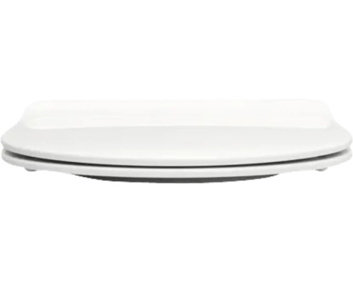 Toiletdeksel van sanitair keramiek