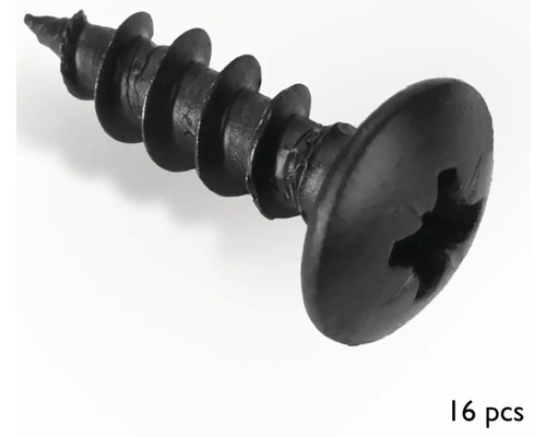 Schroef met verzonken kop en kruiskop, 16 stuks