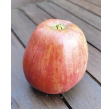 Appel op een houten tafel