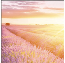 Decoratieve wanddecoratie met lavendelveld bij zonsopgang