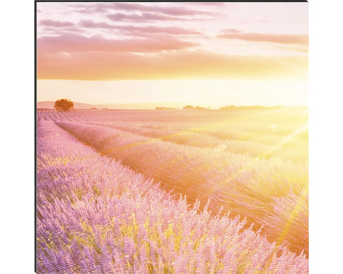 Decoratieve wanddecoratie met lavendelveld bij zonsopgang