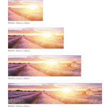 Meerdelige wanddecoratie met lavendelveld bij zonsopgang in verschillende maten