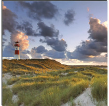 Foto van een vuurtoren in een duinlandschap