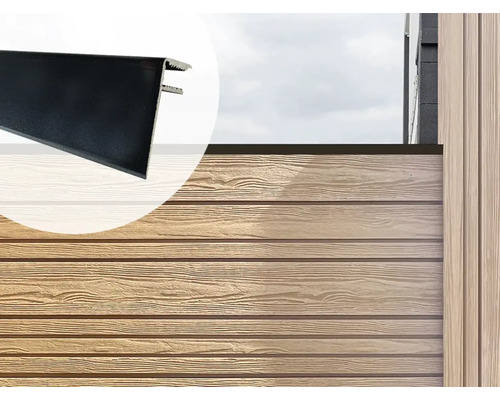 EVA-LAST Gevelbekleding Afdeklijst zwart, 2900x50x26 mm Gevelbekleding met eindprofiel