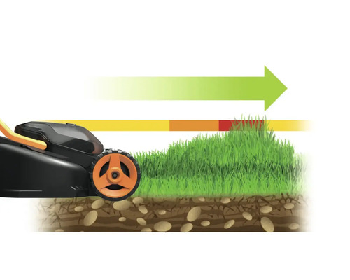 Illustratie van een grasmaaier die gras maait, met een gekleurde indicatie van de maaihoogte