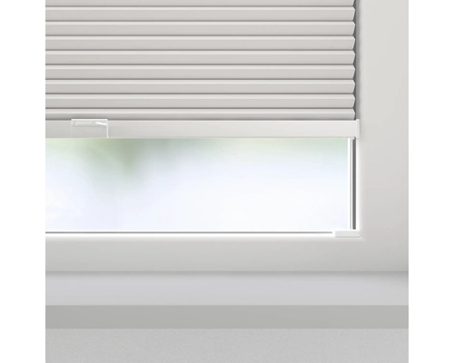 Raam met plisségordijn voor lichtregulering