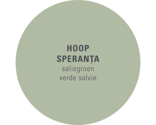 Cirkel met de tekst Hoop, Speranta, Saliegroen en Verde Salvie