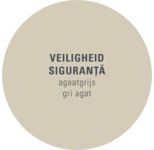 Veiligheid agaatgrijs
