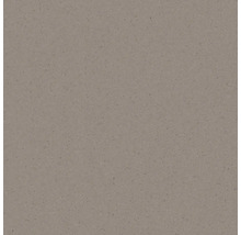 Kwartscomposietplaat met fijne structuur