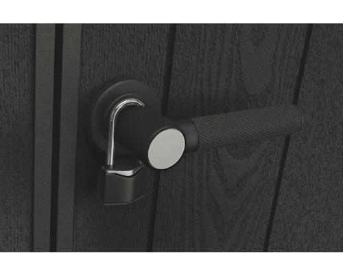 Zwarte deur met deurkruk en hangslot