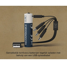 Oplaadbare batterij met USB-oplaadkabel