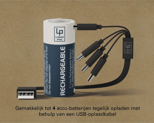 Oplaadbare batterij met USB-oplaadkabel om tot vier batterijen tegelijk op te laden