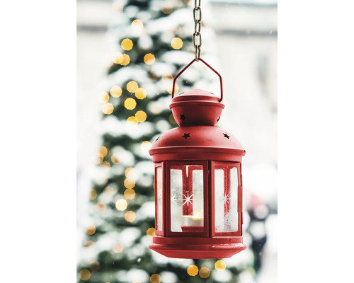 Decoratieve lantaarn met sterpatroon hangt voor een kerstboom