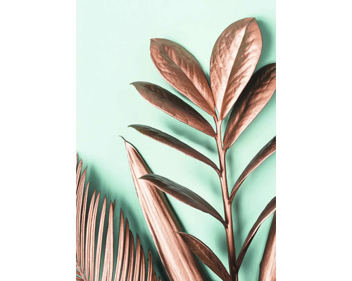 Decoratieve planten met bladeren met een metaalachtig effect