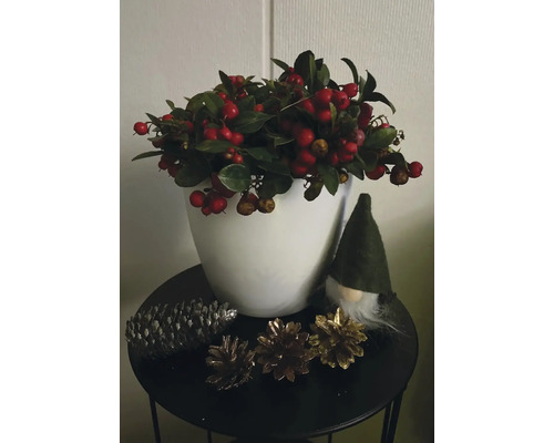 Decoratieve opstelling met rode bessen, dennenappels en een kabouterfiguur op een tafel.