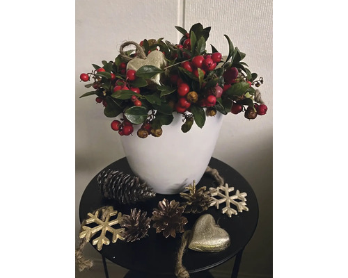 Kerstdecoratie met bessen, dennenappels, hartvormige hangers en sneeuwvlokornamenten in witte pot op klein bijzettafeltje