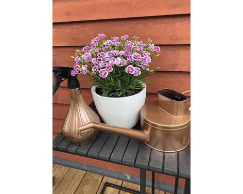 Bloemen in witte pot, spuitfles en gieter op een tafel