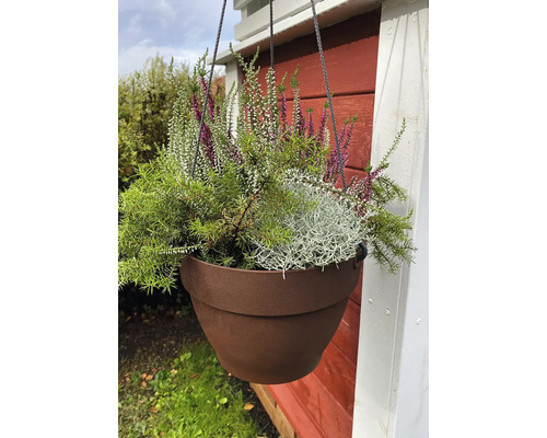 Hangende plantenbak met heide en groene planten