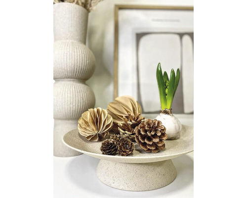 Decoratief dienblad met dennenappels, papieren ornamenten en een hyacint.