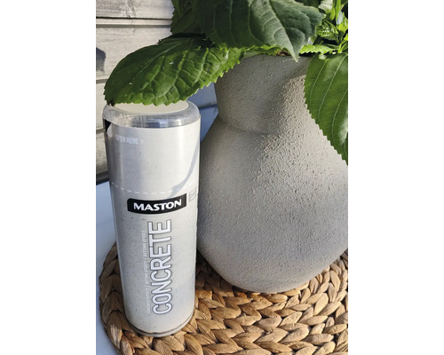 Mastons Concrete Effect spuitbus naast een pot met groene planten