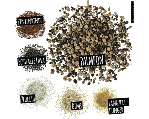 Afbeelding van verschillende plantensubstraten: pijnboomschors, zwarte lava, zeoliet, puimsteen, meststof met lange werking en palmpotgrond
