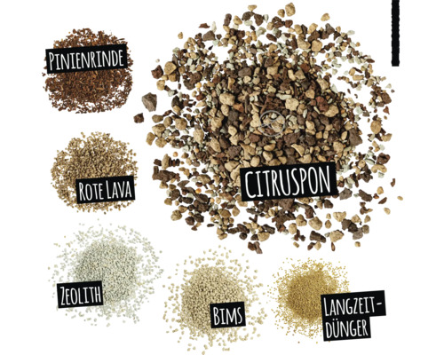 Citrusplantgrond, pijnboomschors, rode lava, zeoliet, puimsteen en meststof met lange werking