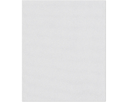 ERFURT Structuurvlies Basic 400 pleister 10,05x0,53 m Wit vliesbehang
