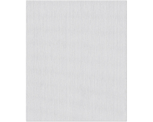 ERFURT Structuurvlies Basic 402 pleister 10,05x0,53 m Wit structuurbehang