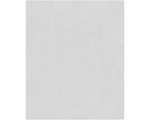 ERFURT Structuurvlies Basic 403 pleister 10,05x0,53 m Wit ruwe vezelbehang